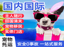 梅县机场快运国际宠物托运 【国